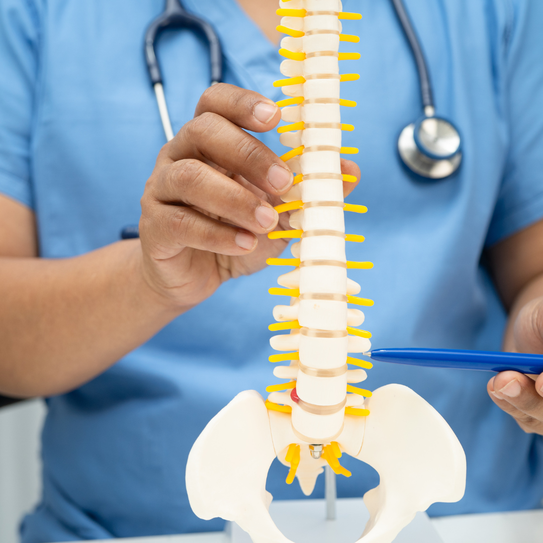 Untitled design - 2025-11-22T100726.370