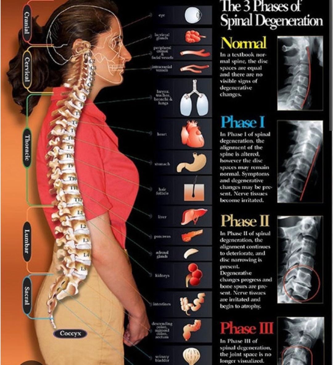 WhatsApp Image 2025-11-19 at 6.08.07 PM (3)